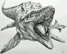 a drawing of a dinosaur with its mouth open and it's head in the air