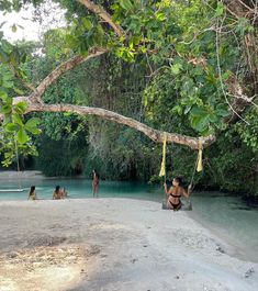 some people are sitting in the water and hanging from a tree branch over their heads