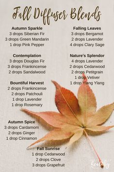 Essential Oils for the Autumnal Equinox and the Fall Season Doterra Autumn Diffuser Blends, Bath And Body Works Leaves Essential Oil Blend, Fall Diffuser Blends Doterra, November Essential Oil Blends, Eucalyptus Essential Oil Blends, November Diffuser Blends, Autumn Essential Oil Blends, Autumn Diffuser Blends, Energy Feeling