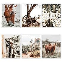 four pictures of horses and flowers in the desert