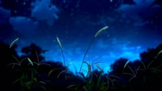 the night sky is full of stars and clouds, with tall grass in foreground