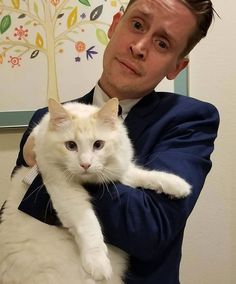 a man in a blue suit holding a white cat with an art work on the wall behind him