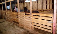 two horses are standing in their stalls