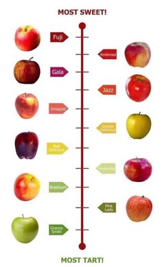 an apple chart with different types of apples and the words most sweet in each section