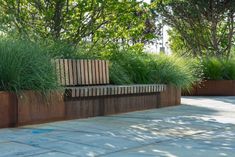 a wooden bench sitting in the middle of a park next to tall grass and trees