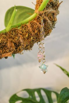 a close up of a plant with some kind of charm hanging from it's end