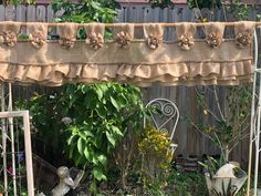 an outdoor area with various plants and decorations