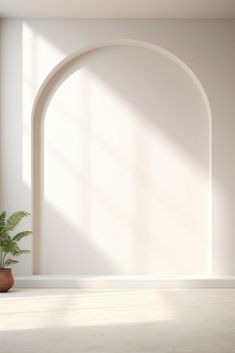 an arch in a white room with a potted plant on the floor next to it