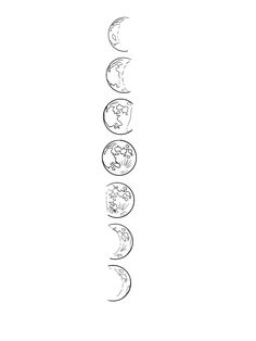 the seven zodiac signs are drawn in black and white