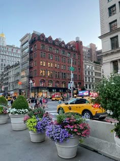 several potted plants on the sidewalk in front of buildings