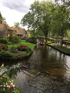 a river running through a lush green forest filled with lots of flowers next to houses