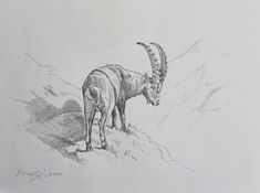 a goat standing on top of a hill next to a mountain range with mountains in the background