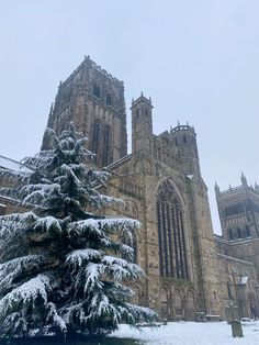 a very tall building with a tree in front of it and snow on the ground