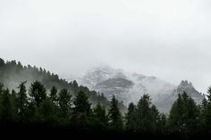 the mountains are covered with snow and trees in the foreground, as well as fog