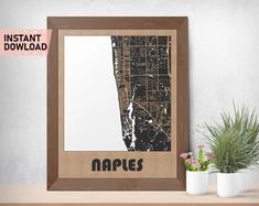 a wooden frame with an image of the city of maples on it and a potted plant next to it