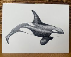 a black and white drawing of an orca