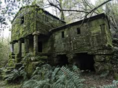 an old building with moss growing on it's walls in the middle of a forest