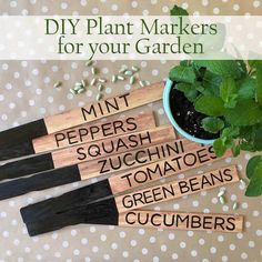 four wooden garden markers sitting next to a potted plant