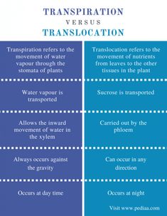 two blue and white lines with words describing transportation versus translocation in the same language