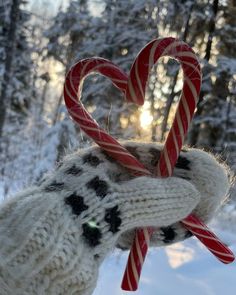 a person holding two candy canes in their hand