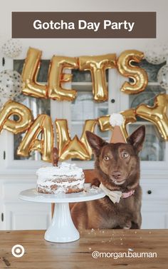 a dog sitting in front of a cake with the words let's party on it