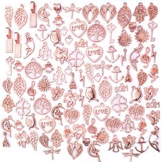 many different types of metal charms and brooches on a white background with clippings