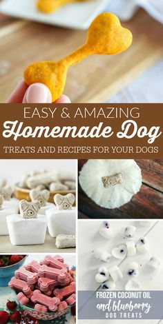 homemade dog treats and treats for your dogs