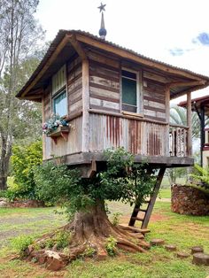 a tree house built into the side of a tree