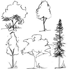 three trees are shown in black and white, one is drawn with ink on paper