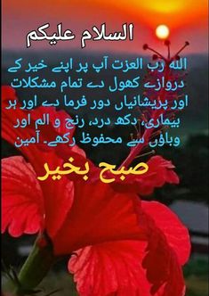 a red flower with the sun in the background and an arabic quote on it that says,