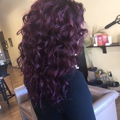 Dark Plum Hair Curly, Plum Dyed Hair, Dark Purple On Curly Hair, Curly Hair Dye Purple, Purple Red Hair Curly, Curly Purple Hair Highlights, Plum Purple Curly Hair, Purple Hair On Curly Hair, Red Purple Curly Hair