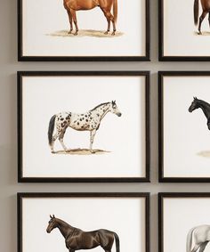 four framed pictures of horses in different colors