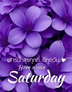 Saturday Quotes, Night Pictures, Daily Pictures, Crochet Flower Patterns, Morning Greetings, Days Of The Week, Happy Saturday, Crochet Flower, Have A Nice Day