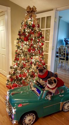 a dog sitting on top of a green car next to a christmas tree