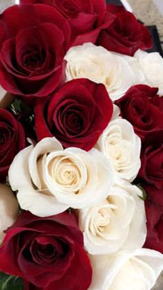 a bouquet of white and red roses