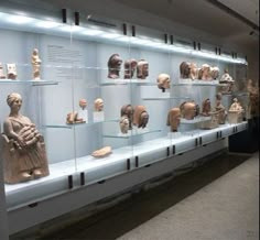 a display case filled with lots of different types of head and body sculptures on glass shelves