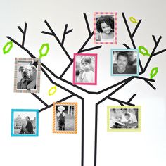 a family tree with pictures and frames attached to it's branches in front of a white wall