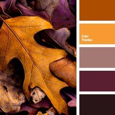 an image of autumn leaves and colors in the color scheme for this fall / winter palette