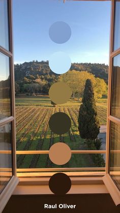 an open window looking out onto a vineyard