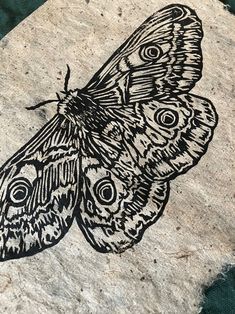 a black and white drawing of a butterfly on a rock