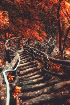 an old wooden bridge in the woods