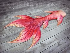 an image of a fish that is painted on the wood planks with watercolor paint