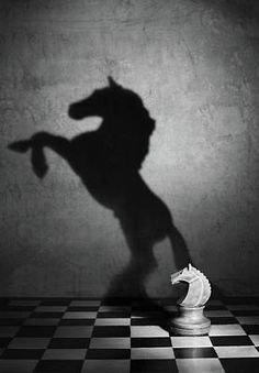 the shadow of a horse on a chess board