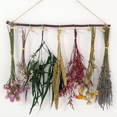 dried flowers hanging from a rope on a white wall