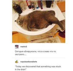 a cat laying in a bathroom sink with the caption'today we discovered that something was stuck in the sink '