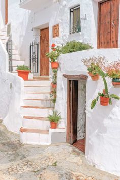 a white house with potted plants on the steps