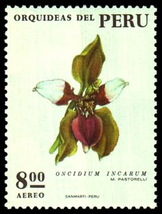 a stamp with a flower on it that reads orchids del peru, 800 aereo