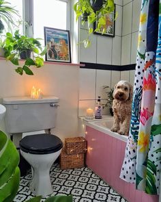 a dog sitting in a bathtub next to a toilet and window with candles on it