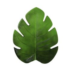 a large green leaf on a white background