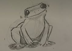 a drawing of a frog sitting on the ground